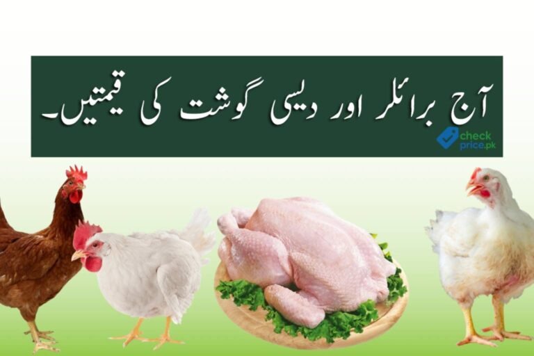 Chicken Rate in Pakistan Today – (Updated Daily)