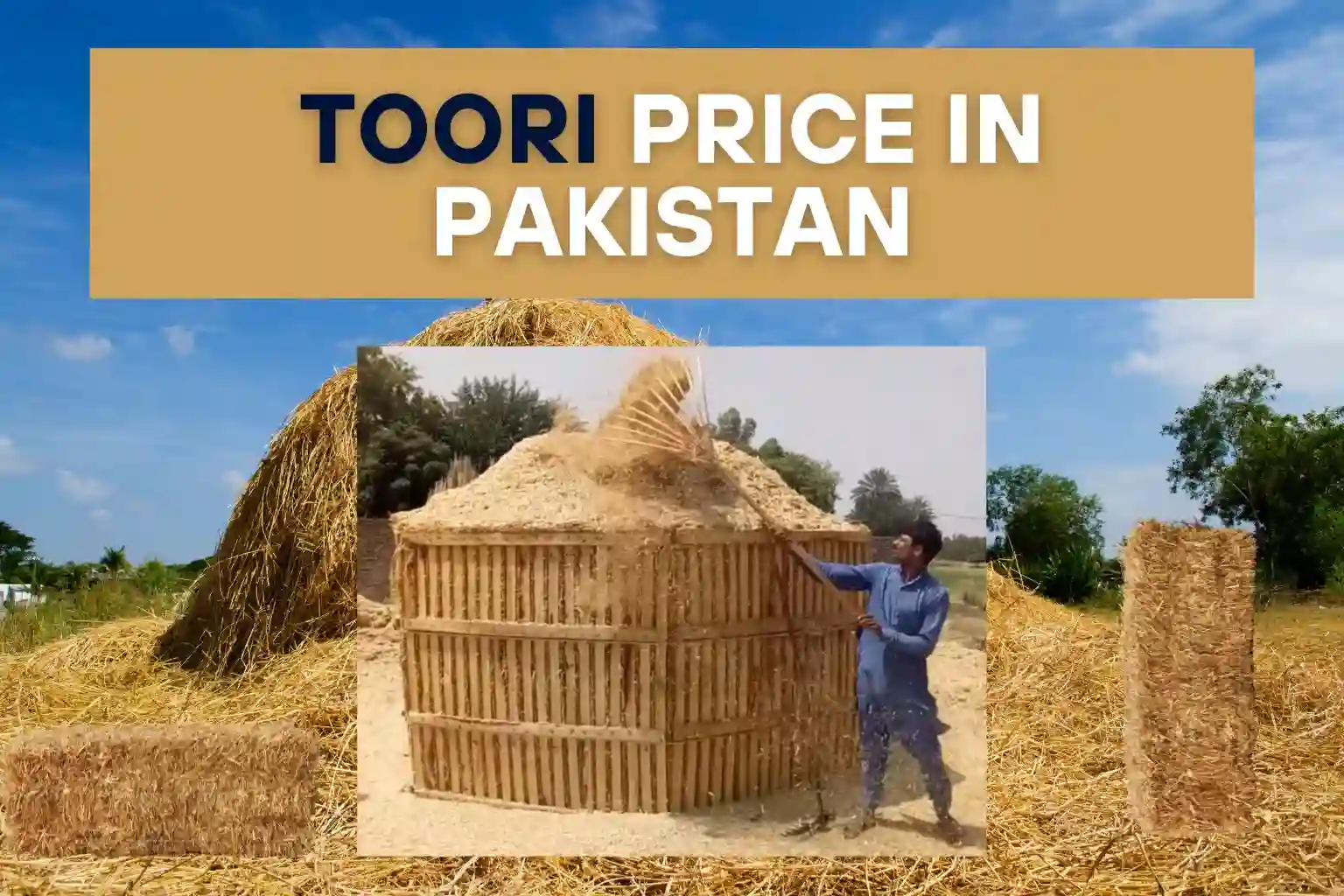 toori price in pakistan wheat straw cattle feed