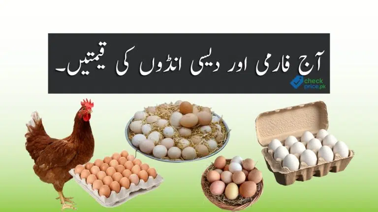 Egg Price in Pakistan Today – (Daily Rates Update)